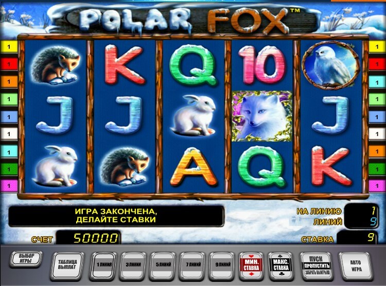 Регистрация на официальном сайте казино 1хслотс даст шанс совать куш на слоте «Polar Fox»
